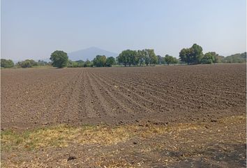 Lote de Terreno en  Rancho O Rancheria Ojo De Agua De Ballesteros, Salvatierra