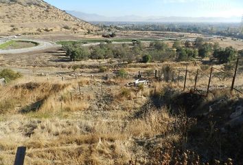 Parcela en  Colina, Chacabuco