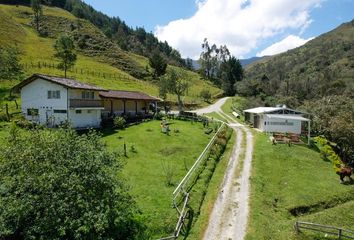 Bodega-Galpon en  Loja