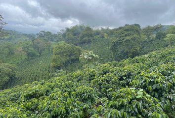 Casa en  Salento, Quindío