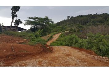 Finca/Hacienda en  Llano Grande, La Pintada