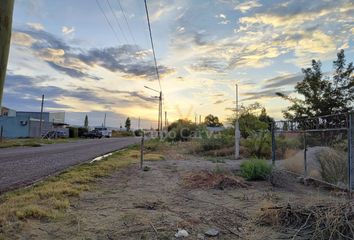 Terrenos en  Cipolletti, Río Negro