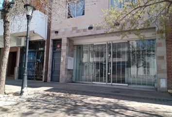 Locales en  San Rafael, Mendoza