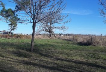 Terrenos en  Puerto Roldán, Roldán