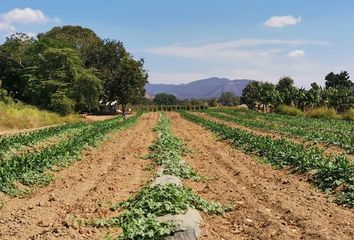 Lote de Terreno en  Los Fraylescanos, Villaflores