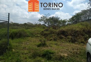 Lote de Terreno en  Hueypoxtla, Estado De México