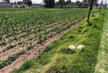 Lote de Terreno en  Calle Insurgentes 25-201, San Juan De Las Huertas, Zinacantepec, México, 51370, Mex