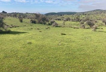 Parcela en  Chillán, Ñuble (región)