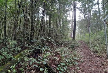 Lote de Terreno en  Avándaro, Valle De Bravo