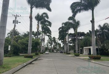 Terreno Comercial en  La Puntilla (satélite), Samborondón