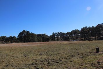 Lote de Terreno en  Bocoyna, Chihuahua