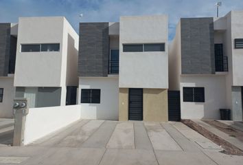 357 casas económicas en renta en Municipio de Chihuahua 