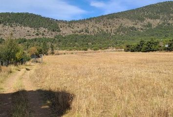 Lote de Terreno en  Arteaga, Arteaga, Arteaga, Coahuila