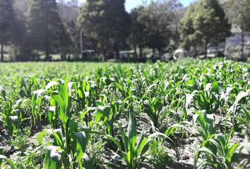 Terreno Comercial en  Calacalí, Norte De Quito