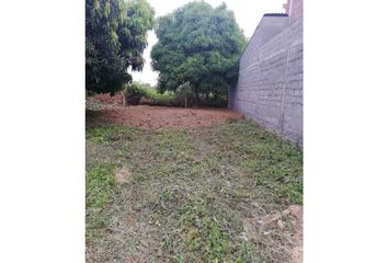 Lote de Terreno en  El Centro, Montería