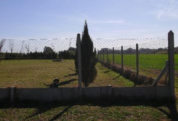 Terrenos en  Oliveros, Santa Fe