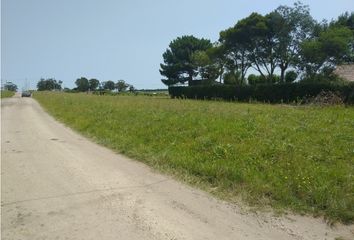 Terrenos en  Los Pinares, Mar Del Plata