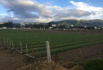 Terreno Comercial en  Tababela, Quito