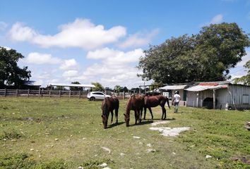 Rancho en  Alfredo V. Bonfil, Ley Federal De La Reforma Agraria, Champotón, Campeche, 24410, Mex