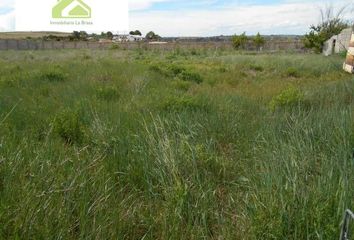 Terreno en  Zamora, Zamora Provincia