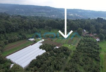 Lote de Terreno en  La Candelaria, Valle De Bravo