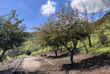 Parcela en  Colina, Chacabuco