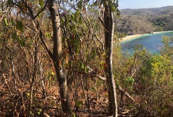 Lote de Terreno en  Carretera A San Agustín, Santa María Huatulco, Oaxaca, Mex