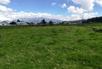 Terreno Comercial en  Camilo Orejuela, Quito 170140, Ecuador