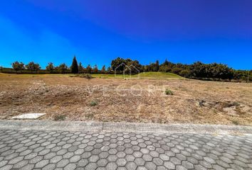 Lote de Terreno en  Boulevard Bosques De Santa Anita 46-57, Villas De Santa Anita, Tlajomulco De Zúñiga, Jalisco, 45645, Mex