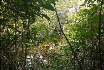 Lote de Terreno en  Bali, Solidaridad, Quintana Roo