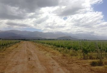 Terrenos en  San Carlos, Mendoza