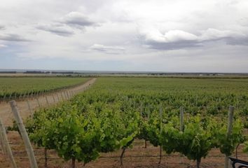 Terrenos en  San Carlos, Mendoza