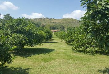 Lote de Terreno en  Privada 16 De Septiembre, Los Ranchitos, Tlajomulco De Zúñiga, Jalisco, 45640, Mex