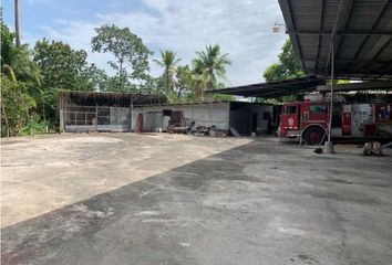 Bodega/Galera en  Betania, Ciudad De Panamá