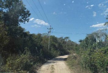 Lote de Terreno en  Tzucacab, Yucatán