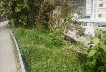 Lote de Terreno en  Centro, Manizales