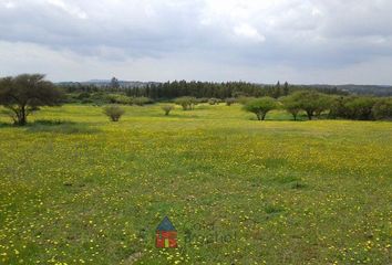 Parcela en  Litueche, Cardenal Caro