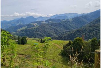 Lote de Terreno en  La Enea, Manizales