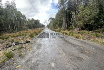 Parcela en  Puerto Montt, Llanquihue