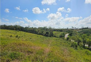 Finca/Hacienda en  Barrio Colón, La Chorrera