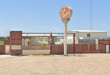 Lote de Terreno en  Calle Francisco P. Millán, Elota, Sinaloa, Mex