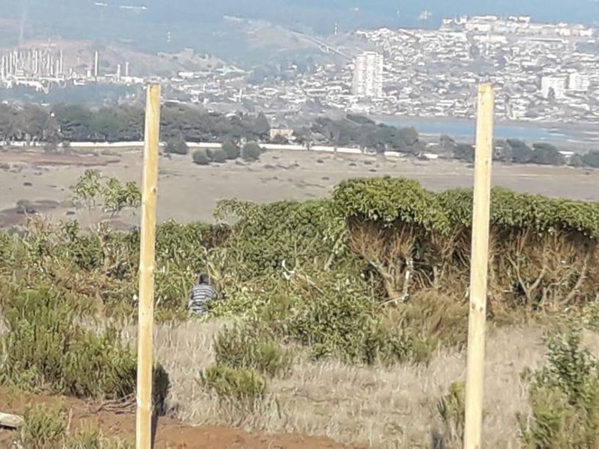Terreno Habitacional en venta Valparaíso, Valparaíso, Valparaíso