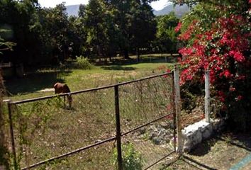 Lote de Terreno en  Fraccionamiento Ticuman, Tlaltizapán De Zapata