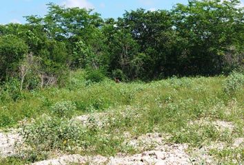 Lote de Terreno en  Chemax, Yucatán
