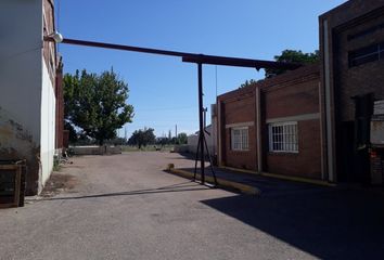 Galpónes/Bodegas en  San Rafael, Mendoza