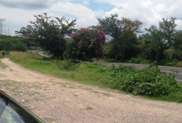 Lote de Terreno en  Yautepec, Morelos, Mex