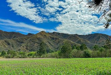 Terreno Comercial en  Loja