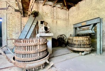 Galpónes/Bodegas en  Luján De Cuyo, Mendoza