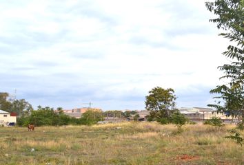 Terreno en  Cáceres, Cáceres Provincia