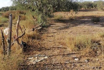 Lote de Terreno en  Los Gómez, Soledad De Graciano Sánchez